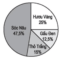 Vở bài tập Toán lớp 5 - Bài 100: Khám phá biểu đồ hình quạt