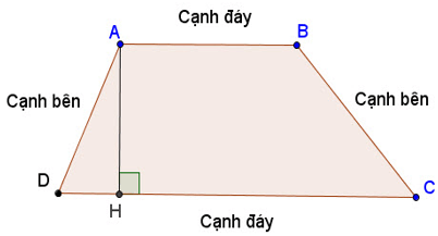 Vở bài tập Toán lớp 5, bài 91: Đáp án cho bài tập diện tích hình thang