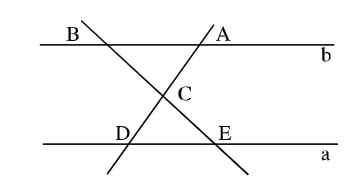 Góc đồng vị là gì? Làm thế nào để chứng minh hai góc đồng vị?