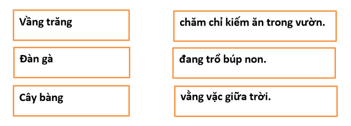 Đề thi giữa học kì 2 môn Tiếng Việt lớp 1 cập nhật năm 2022 - 2023