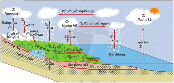 Đề cương ôn tập học kỳ 2 môn Lịch sử - Địa lí 6 theo sách Cánh diều chi tiết