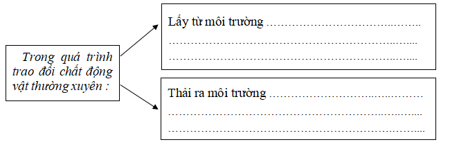 Đề thi học kỳ 2 môn Khoa học lớp 4 với đáp án năm học 2022 - 2023