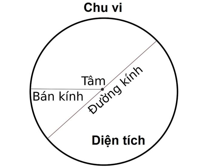 Hướng dẫn chi tiết giải Vở bài tập Toán lớp 5 bài 97 về diện tích hình tròn