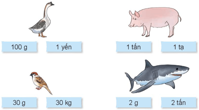 Toán lớp 4 trang 73, 74, 75 Bài 21: Luyện tập tổng hợp Kết nối tri thức