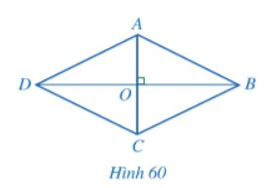 Giải bài tập Toán 8 Bài 6 (sách mới) - Chân trời sáng tạo, Kết nối tri thức, Cánh diều