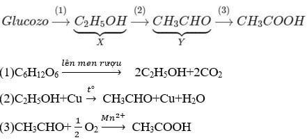 Xác định hai chất X và Y trong sơ đồ chuyển hoá: Glucozơ → X → Y → CH3COOH.