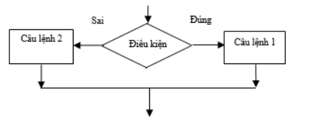 Phân loại Cấu trúc rẽ nhánh: Tin học 11 bài 9