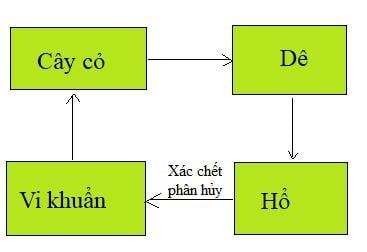 Đề thi học kỳ 2 môn Khoa học lớp 4 với đáp án cho năm học 2022 - 2023