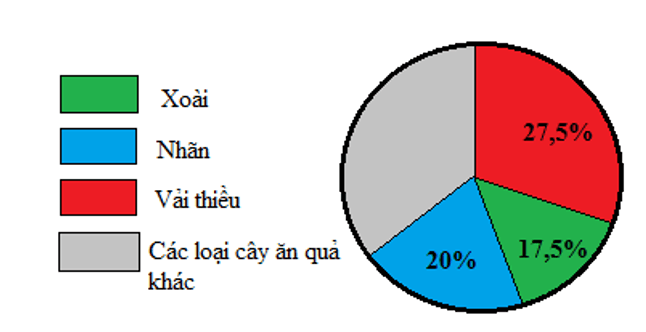 Vở bài tập Toán lớp 5 - Bài 100: Khám phá biểu đồ hình quạt