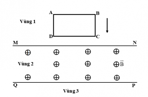 Trắc nghiệm Sinh học 11 Bài 34: Sinh trưởng ở thực vật