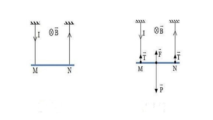 Lực từ là gì? Vectơ cảm ứng từ và quy tắc nắm tay trái