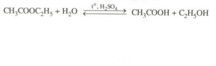 Este là gì? Công thức cấu tạo, tính chất hóa học và bài tập liên quan đến este?