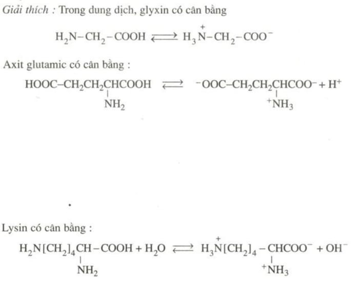 Amino axit là gì? Công thức hóa học của các amino axit thường gặp và bài tập