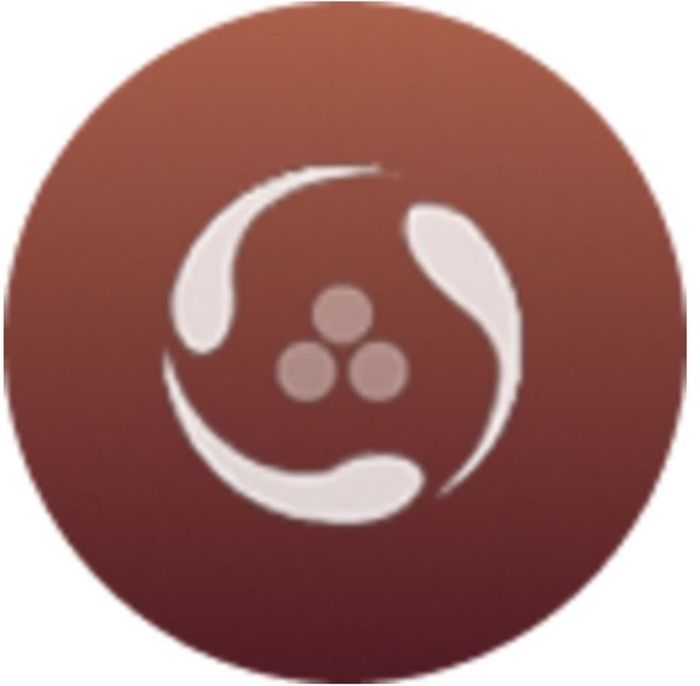 Stt 