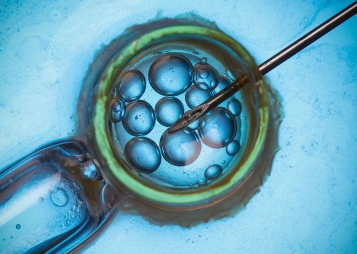 IVF - Phương pháp thụ tinh trong ống nghiệm giúp tăng cơ hội thụ thai