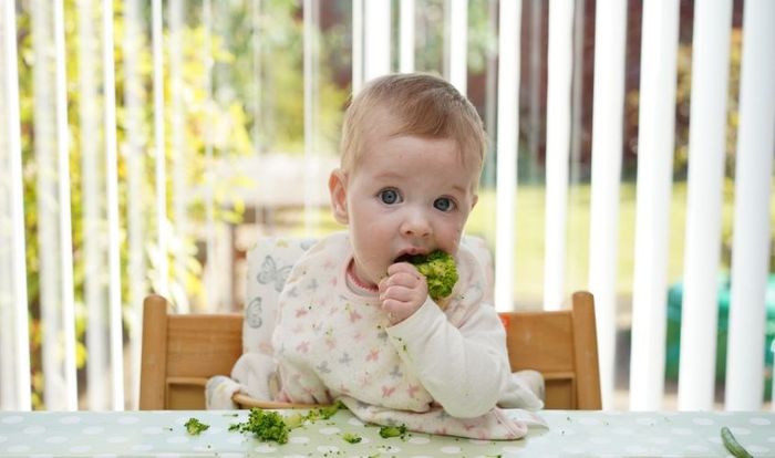 Rau củ cung cấp nhiều chất xơ và dinh dưỡng, giúp bé phát triển khỏe mạnh