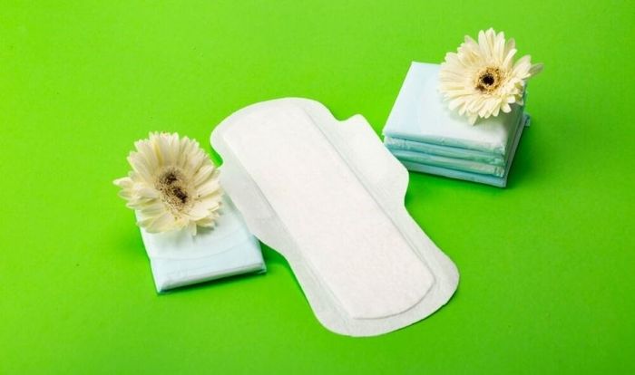 Băng vệ sinh có khả năng thấm hút và tạo độ ẩm cao, rất thích hợp để gieo hạt