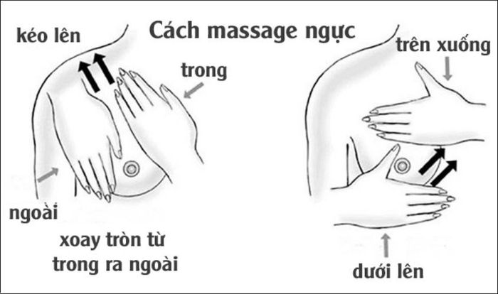 Massage nhẹ ngực trước khi sử dụng máy hút sữa để đảm bảo sự đều đặn trong việc tiết sữa