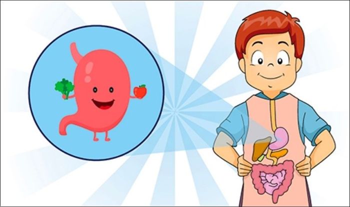 Sữa Humana bổ sung lợi khuẩn giúp bé có tiêu hoá tốt hơn và tăng cân dễ dàng