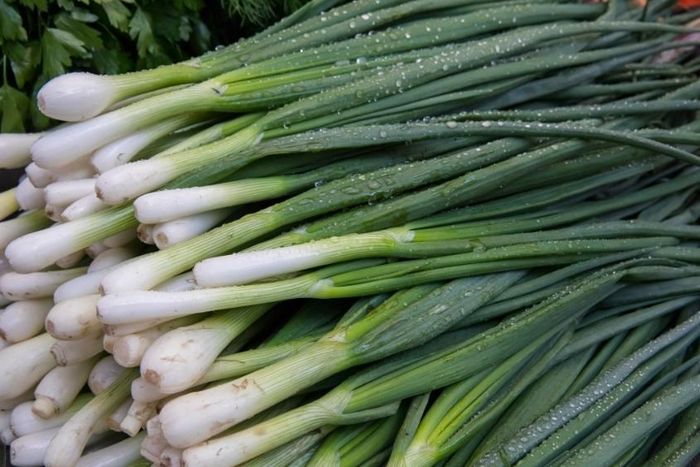 Cháo cua đồng là món ăn dặm phù hợp cho bé