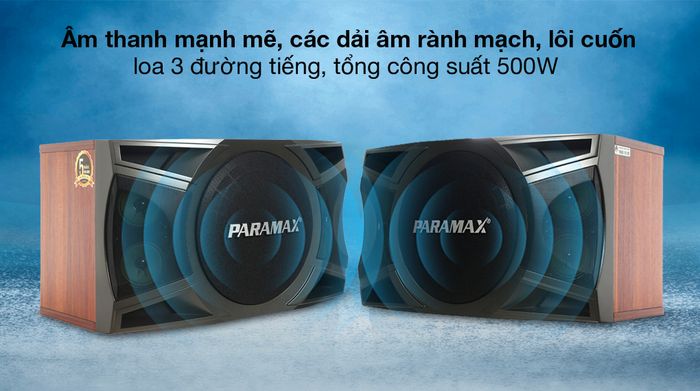 Cặp loa Karaoke Paramax LX-1200 500W - Công suất
