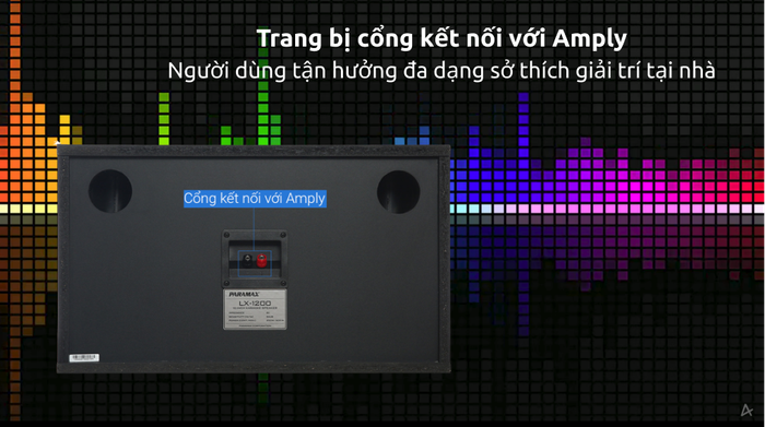 Cặp loa Karaoke Paramax LX-1200 500W - Kết nối