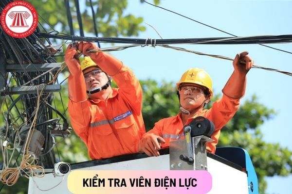 Kiểm tra viên điện lực