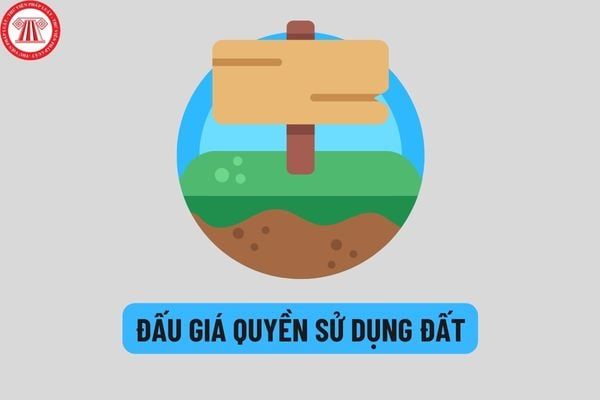 Các trường hợp nào Nhà nước sẽ giao đất thu tiền sử dụng đất, cho thuê đất thông qua hình thức đấu giá quyền sử dụng đất?