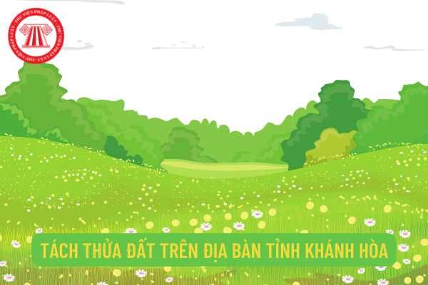 Chia tách thửa đất