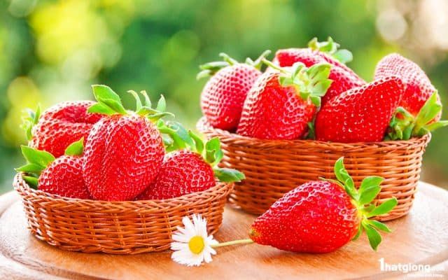 Dâu Đà Lạt, món quà tặng tươi ngon