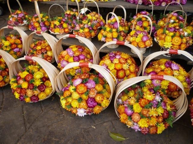 Khám phá vẻ đẹp của hoa khô Đà Lạt