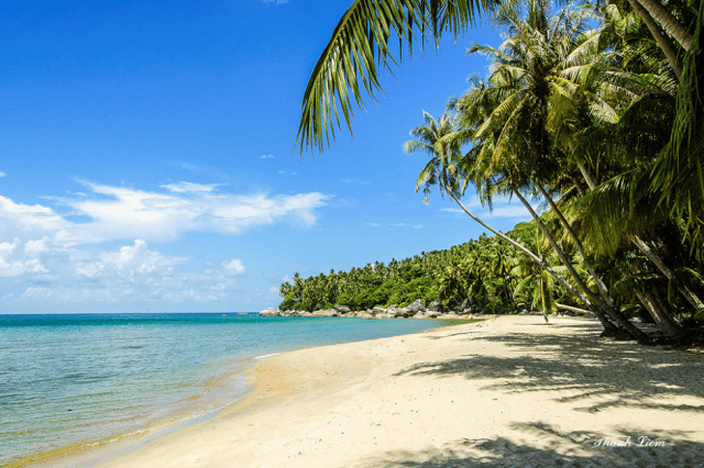 Khung cảnh hữu tình tại Bãi Bàng