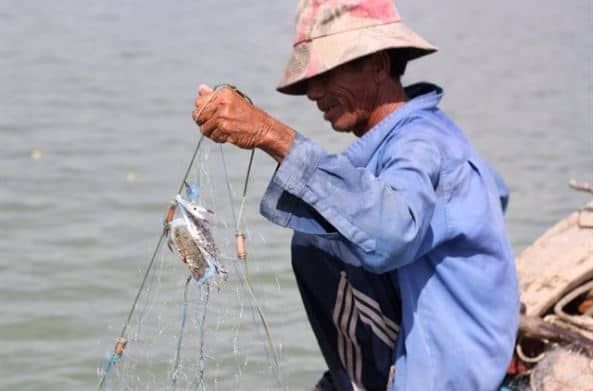 Ngư dân điều bắt cá hàng ngày trên đảo