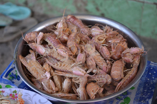 Ảnh Bề Bề hấp