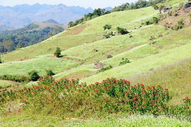 Vẻ đẹp mộc mạc, bình dị ở Tây Ninh