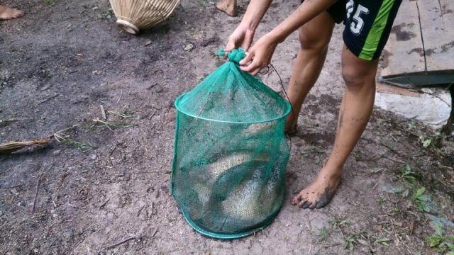 Tham gia các hoạt động ngoài trời sôi động