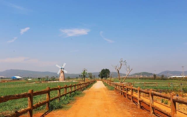 Lối vào nông trại Vinamilk Organic Milk Farm Đà Lạt