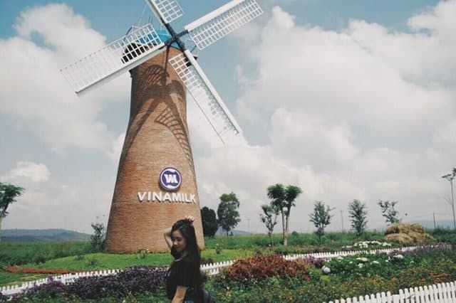 Check-in tại nông trại Vinamilk Organic Milk Farm Đà Lạt