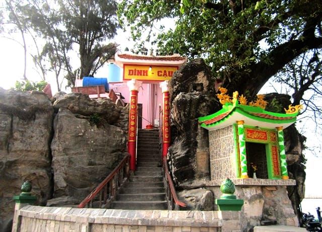 Cây Sộp cổ thụ tạo bóng mát