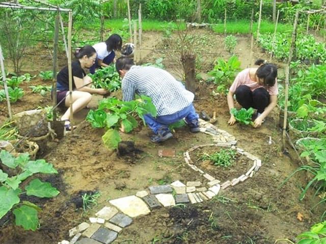 Trải nghiệm trồng cây tại khu Thảo Điền