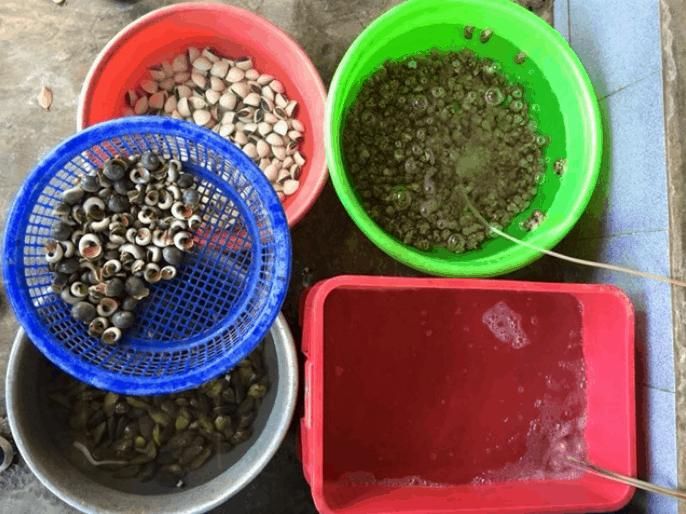 Sự Kết Hợp Hài Hòa Hải Sản và Tình Yêu Nấu Ăn (Ảnh sưu tầm)