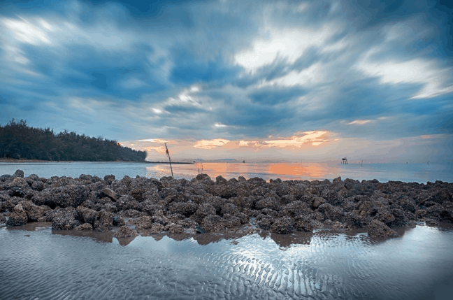 Khám phá Cần Giờ tự do (ảnh sưu tầm)