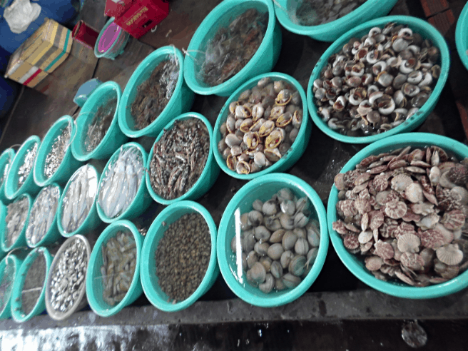 Khám phá hải sản tại đây (ảnh sưu tầm)