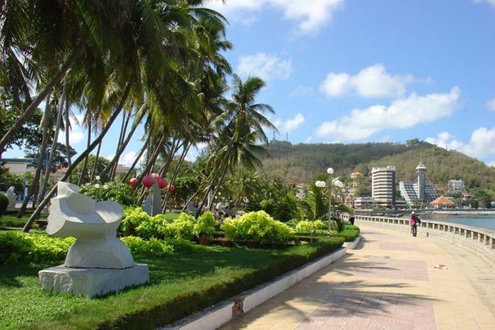 Khu vực công viên với hàng dừa xanh mát, rất thích hợp cho việc đi dạo, tản bộ