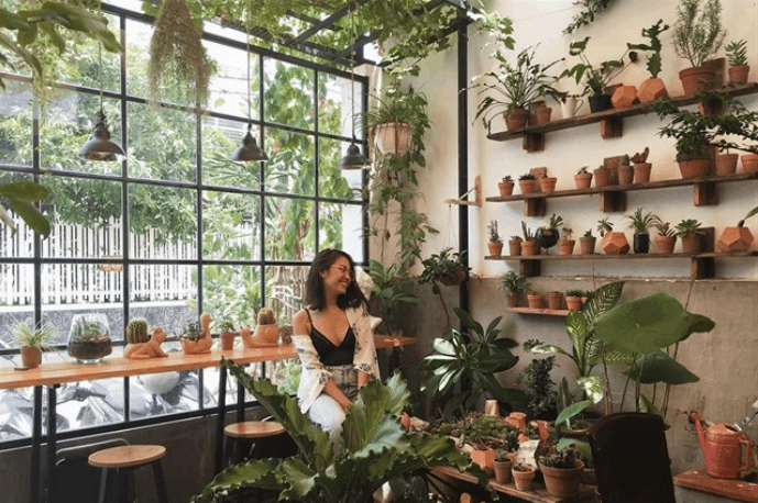 Nhiều cây cỏ cho bức ảnh đẹp tuyệt vời (Ảnh sưu tầm)
