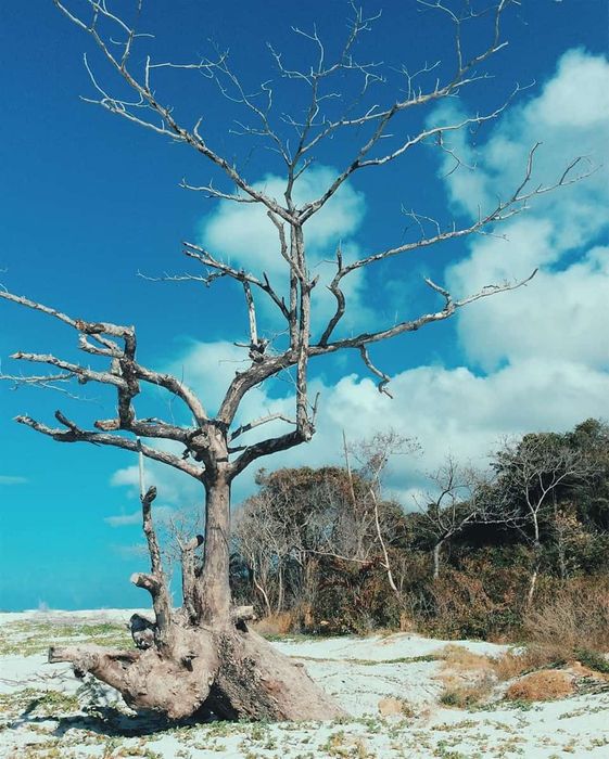 Vẻ đẹp hoang sơ của Hòn Cau vẫn còn nguyên giữa thiên nhiên