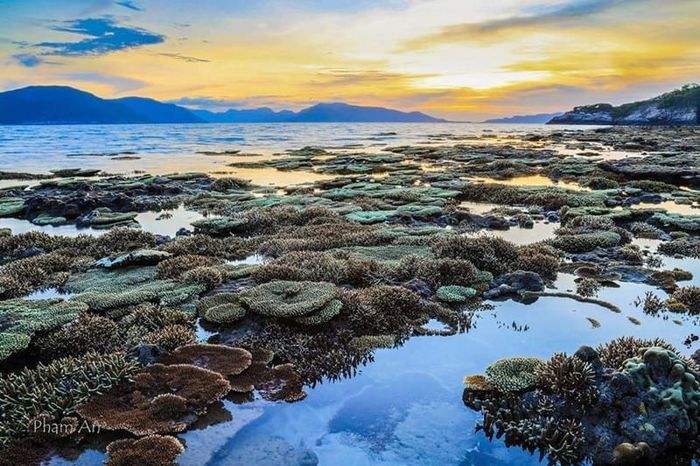 Nét đẹp thiên nhiên nổi bật nhất của Hòn Cau