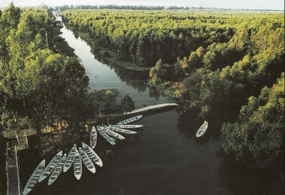 Khu du lịch sinh thái Gáo Giồng - Hòa mình vào thiên nhiên (sưu tầm)