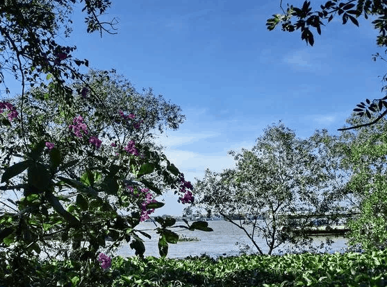 Cồn Luân (sưu tầm)