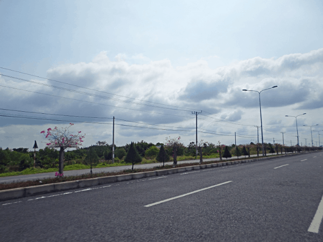 Con đường tại Cần Giờ rất đẹp (Sưu tầm)